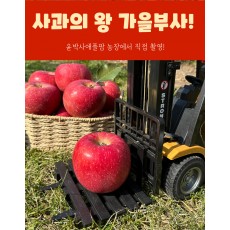 가을사과 [부사]  5kg 18과 [중소과]